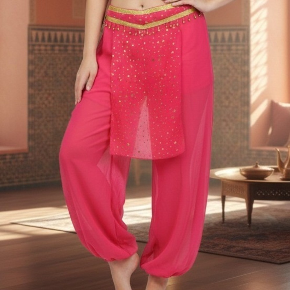 Hot Pink Large Sheer Harem Genie Pants Gold Star‎ Accents Beads Festival Costume